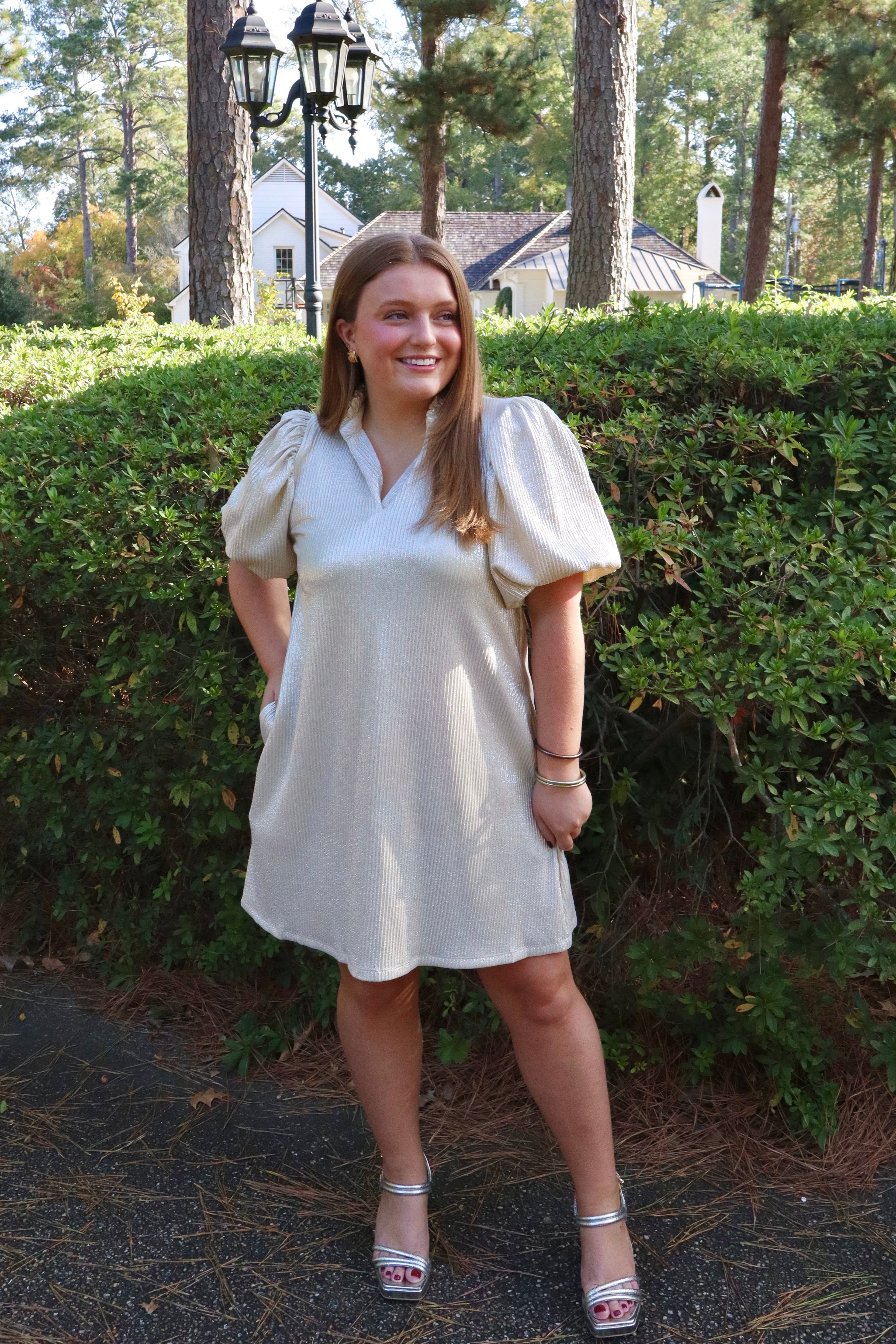 Eloise Dress (Sparkly)