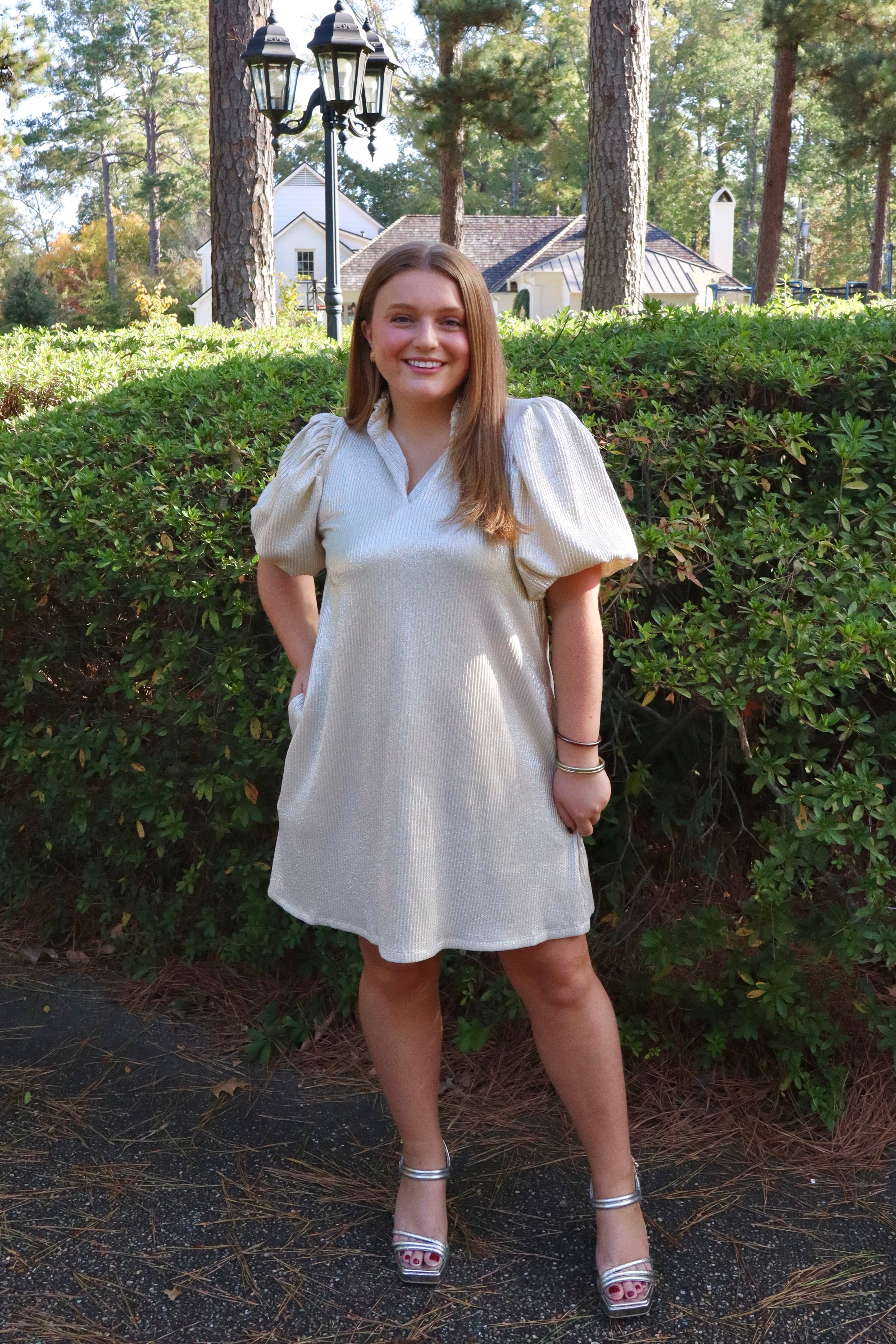 Eloise Dress (Sparkly)